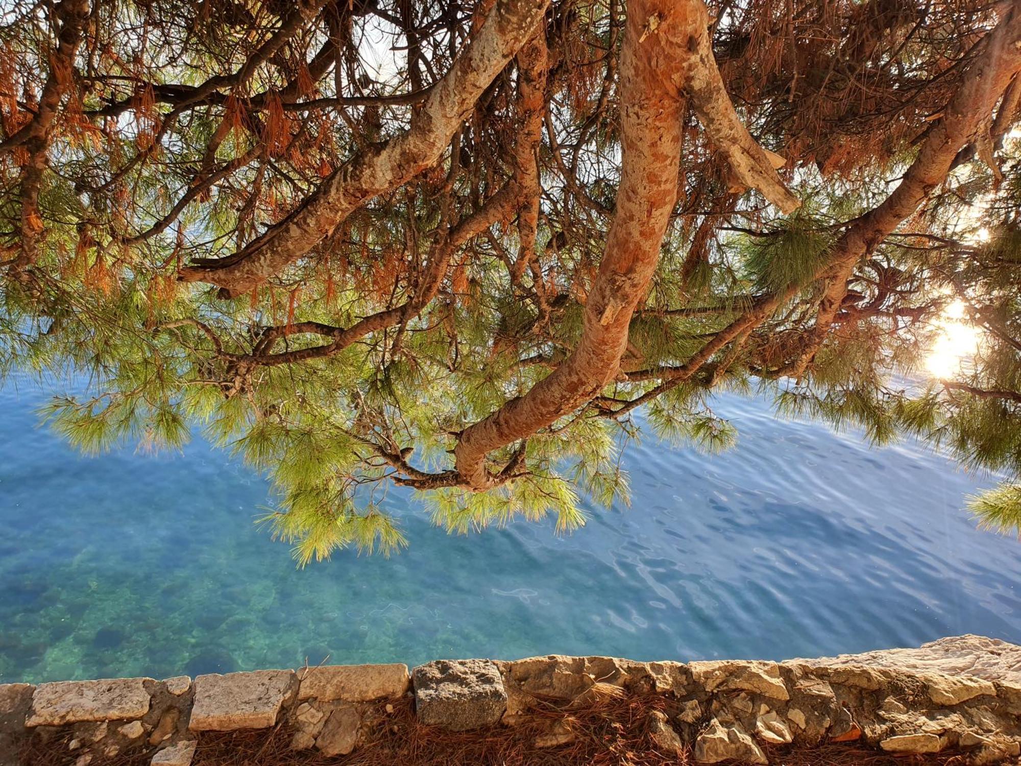 Violeta Hvar Hvar Town Eksteriør bilde