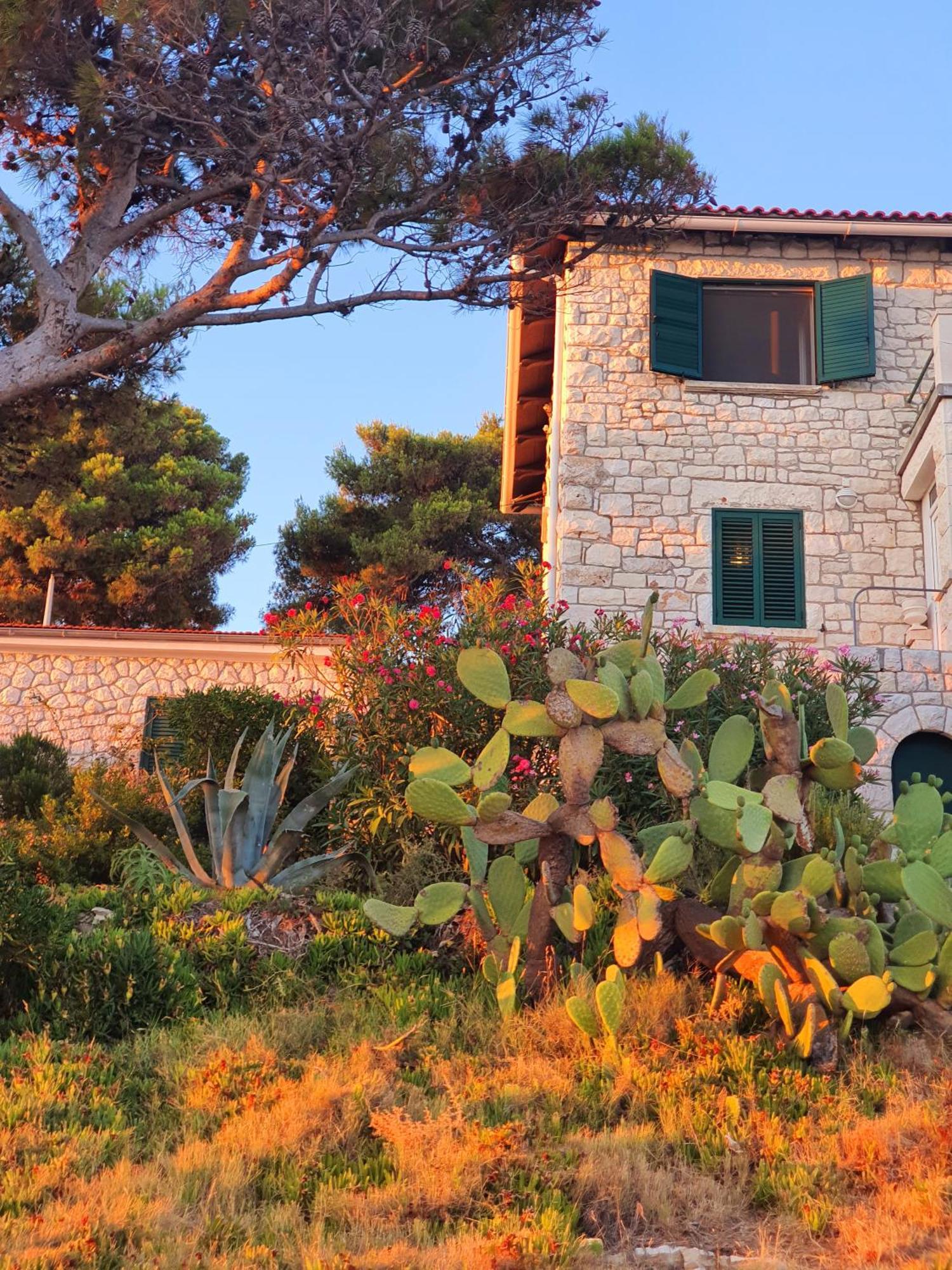 Violeta Hvar Hvar Town Eksteriør bilde