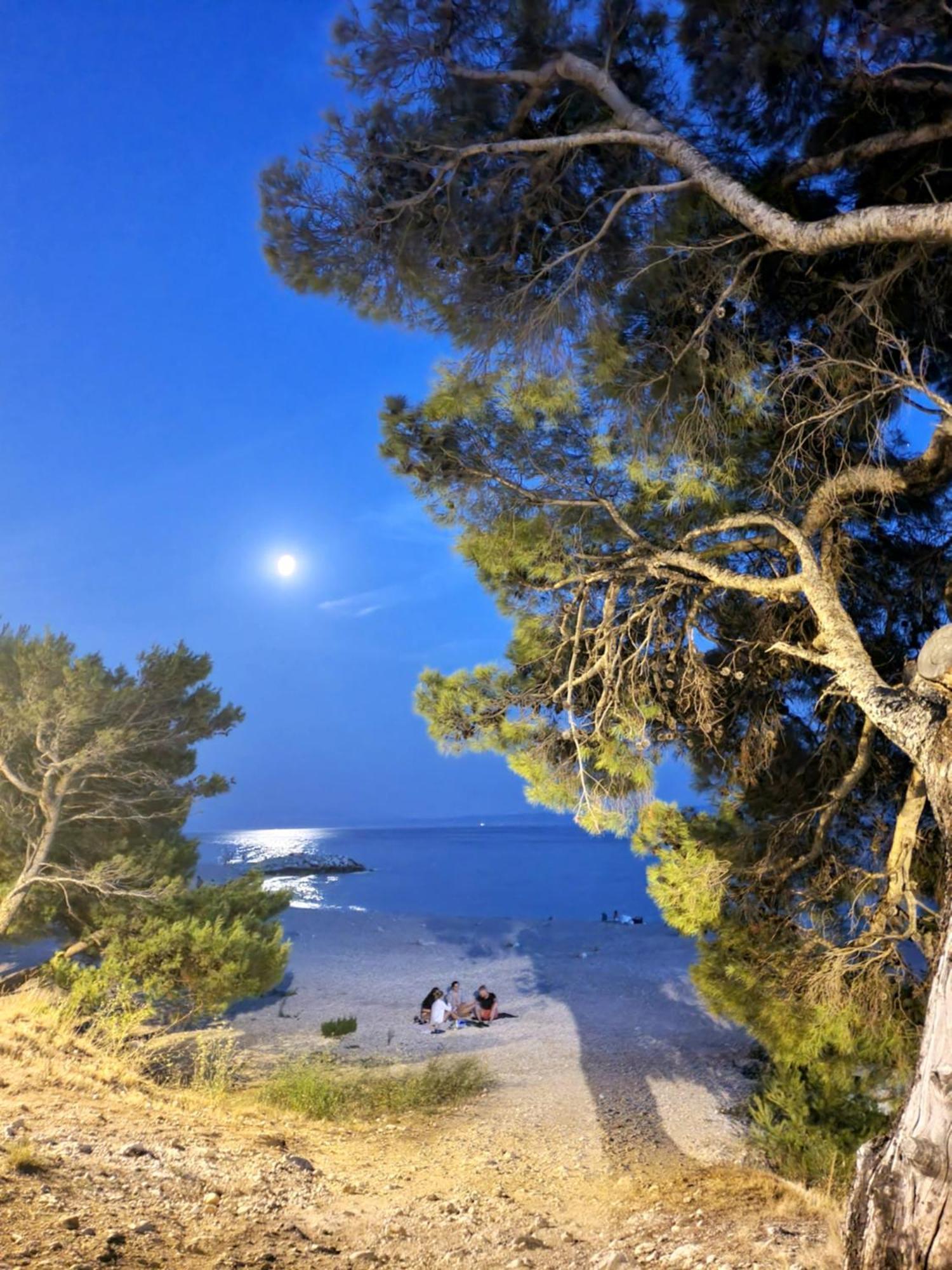 Violeta Hvar Hvar Town Eksteriør bilde